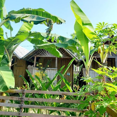 Hotel Banana Grove El Nido Exteriér fotografie