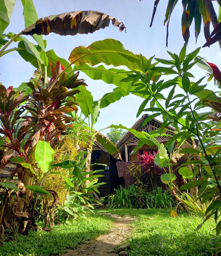 Hotel Banana Grove El Nido Exteriér fotografie