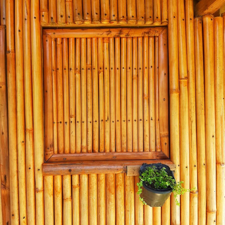 Hotel Banana Grove El Nido Exteriér fotografie