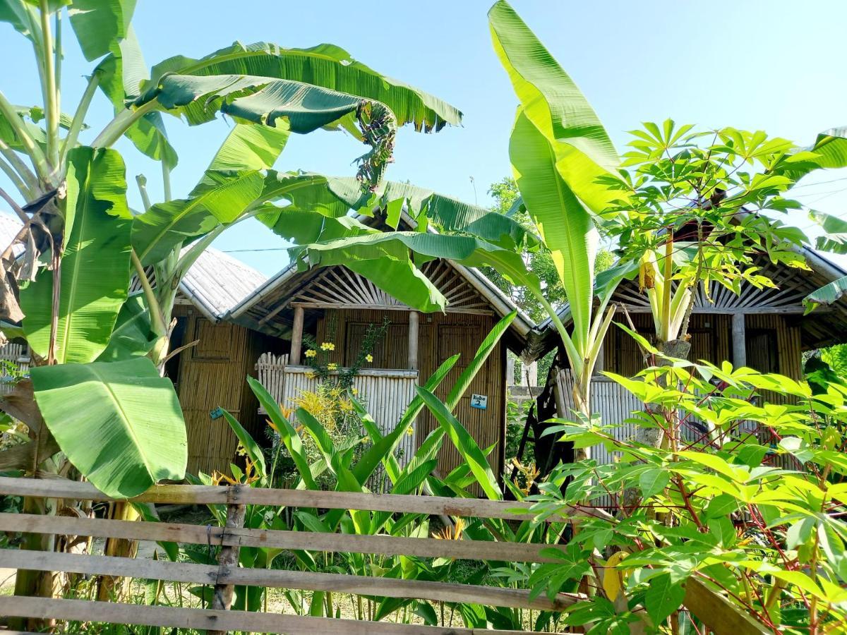 Hotel Banana Grove El Nido Exteriér fotografie