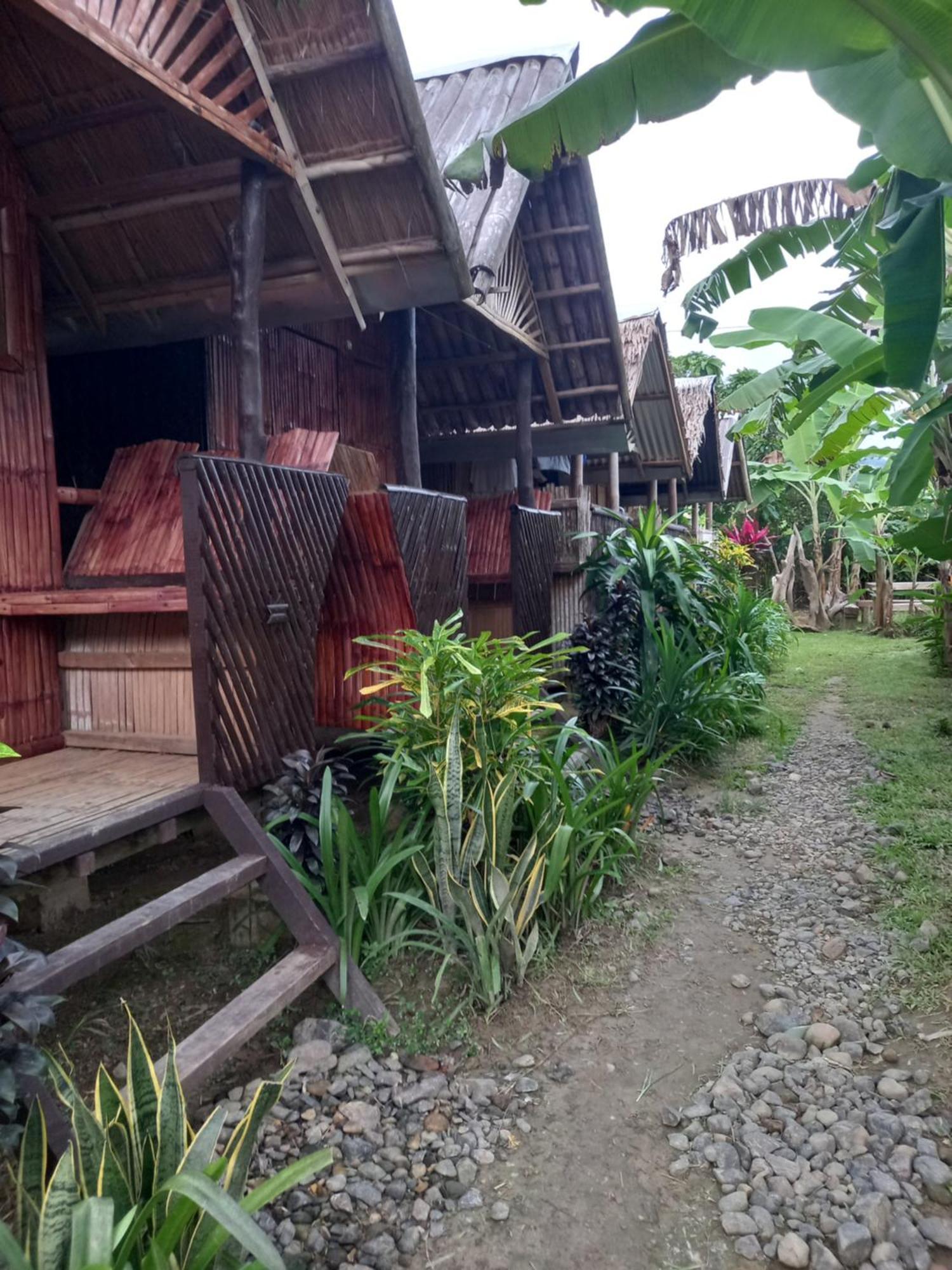 Hotel Banana Grove El Nido Pokoj fotografie